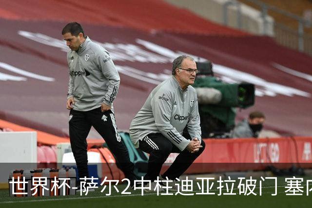 世界杯-萨尔2中柱迪亚拉破门 塞内加尔半场暂1-0比利时